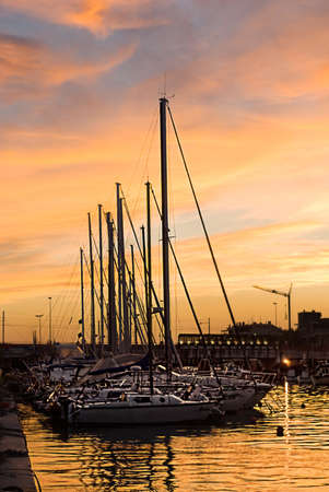 Yachts in the sunset in Rimini, Italy.の写真素材