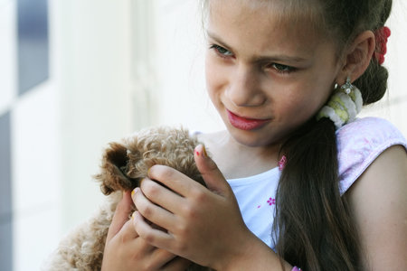 The girl and the puppy of a toy poodle.の写真素材