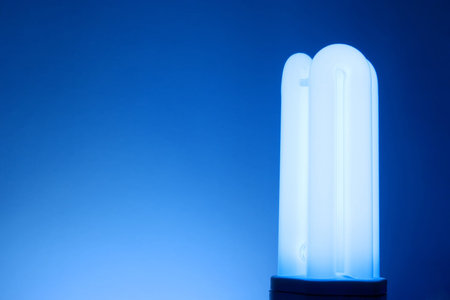 Compact fluorescent light bulb.の写真素材