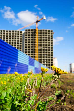 Flowers and construction.の写真素材
