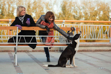 Two young women with a stray dog.の写真素材
