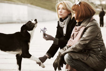 Two young women and a dogの写真素材