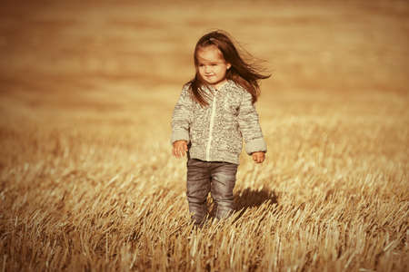 Happy two year old girl wearing knitted hoodie sweatshirt walking in summer harvested fieldの写真素材
