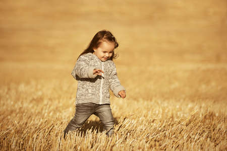 Happy two year old girl in knitted hoodie sweatshirt walking in summer harvested fieldの写真素材