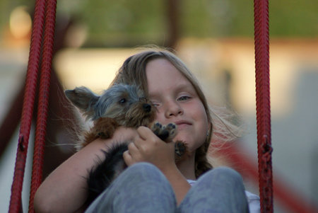 Young girl with a dog on a swingの写真素材
