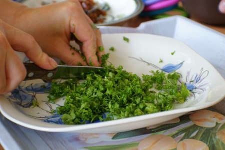 Slicing knife dill as a spice.の写真素材
