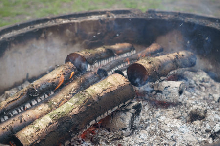 Paintball, fireplace after the game. Close up view. Wood in the fire.