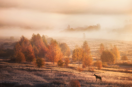 autumn sunriseの写真素材