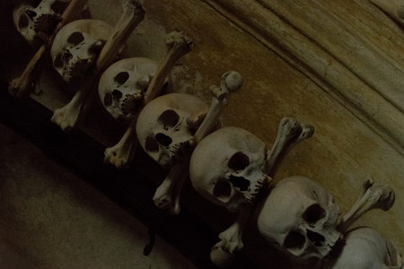 old human skull and bones close-up stacked in a row