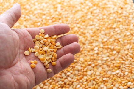 hand sprinkling split peas, vegetarian food