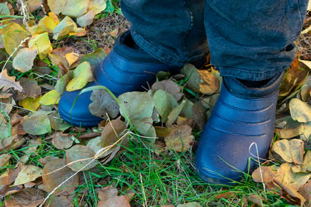 rubber galoshes on the legs among the autumn leaves, closeupの写真素材