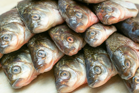 heads of fish laid out in a row on the tableの写真素材