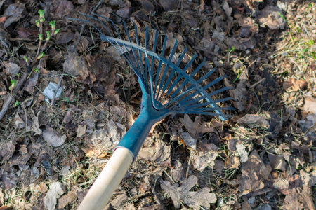 rake last year foliage and trash, clean the garden