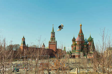 view of the Kremlin and St. Basil's Cathedral with a flying dove in the frameのeditorial素材