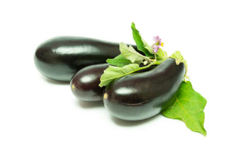 Aubergine eggplant isolated on white. Eggplant Clipping Path. Quality photo for your project.の写真素材
