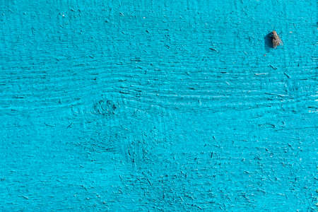 painted blue board as background and a fly sitting on itの写真素材