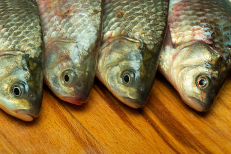 caught fresh crucian carp on a cutting boardの写真素材