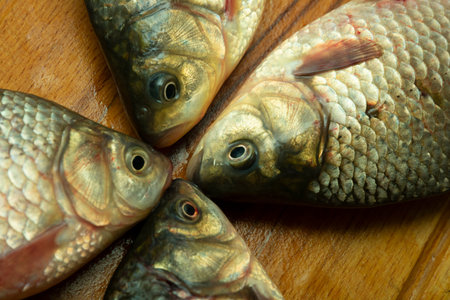 caught fresh crucian carp on a cutting board