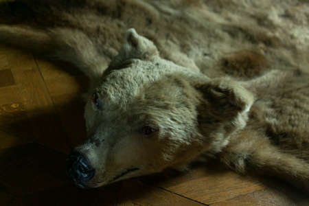 photo of stuffed bear on the floorの写真素材