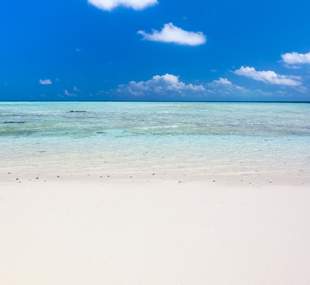 Beautiful Tropical white Sand Beach and crystal clear water. Sipadan Island, Borneo, Malaysia.の写真素材