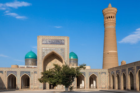 Mir-i Arab Madrasah, Mosque Kalon and Kalyan minaret, Historic centre of Bukhara, Uzbekistan (UNESCO...