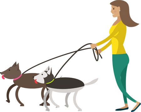 Woman walking dog vector icon isolated on whiteのイラスト素材