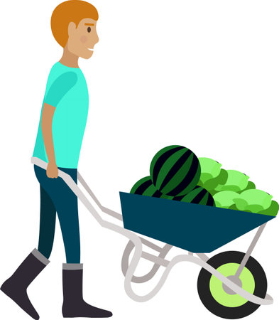 Farmer carrying vegetables crop in wheelbarrow vector icon isolated on whiteのイラスト素材