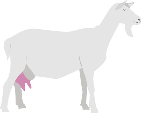 Milky goat vector icon isolated on whiteのイラスト素材