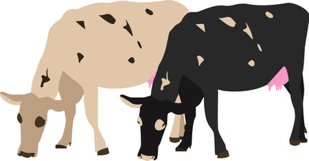 Cows grazing on pasture vector icon isolated on whiteのイラスト素材