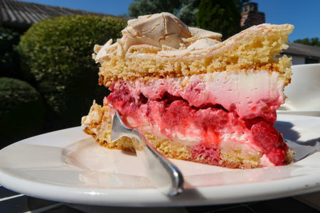 a piece of raspberry mascarpone cake with meringue