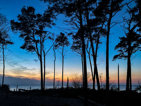 night shot from the west beach, Zingst at sunsetの写真素材