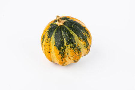 Shapely and interestingly colored ornamental decorative gourd against a white backgroundの写真素材