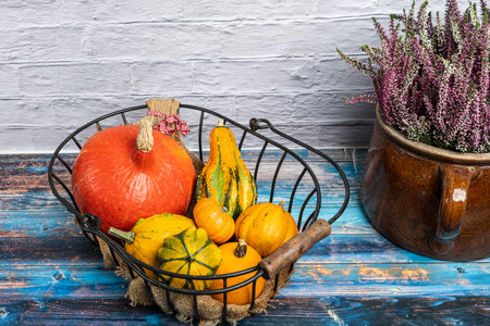 Still life with various ornamental gourds in an old wire basket decorated with a clay jug of winter heatherの写真素材