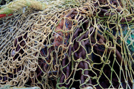 fishing net