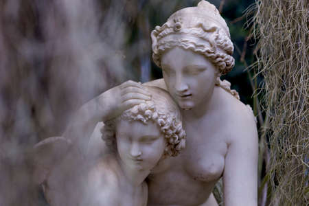 fallen Angelの写真素材