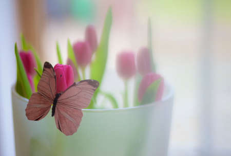 Tulips with butterfly decorationの写真素材