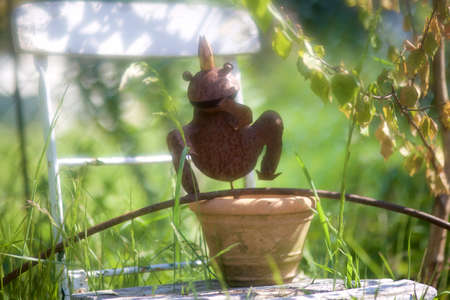 Decoration summer gardenの写真素材