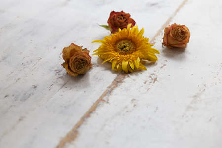white wooden table with summer flowersの写真素材