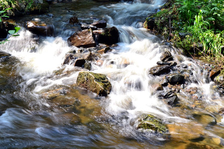 Torrent