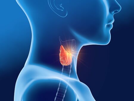 Thyroid gland of a woman, medically 3D illustration on blue background, side viewの写真素材