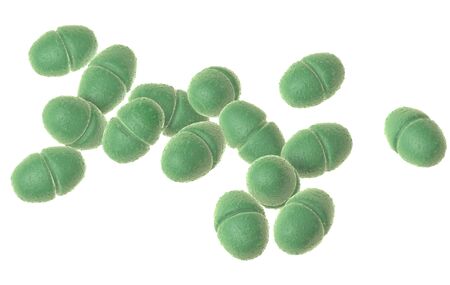 3D illustration showing enterococcus faecalis bacteria on white backgroundの写真素材