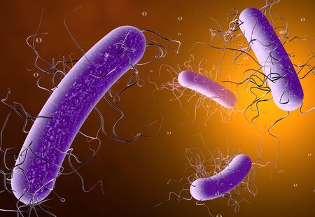 3D illustration showing clostridium difficile bacteriaの写真素材