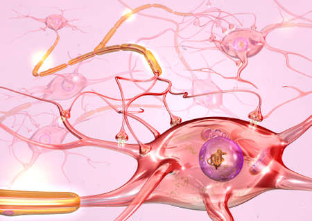 Active nerve cells propagating a signal down on an axonto the next cell.の写真素材
