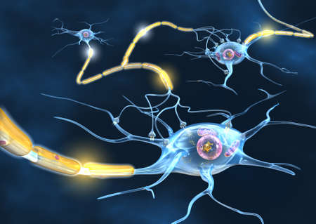 Active nerve cells propagating a signal down on an axon to the next cell.の写真素材