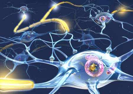 Active nerve cells propagating a signal down on an axon to the next cell.の写真素材