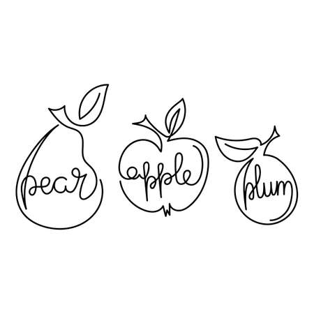 Apple, pear, plum - one continuous line of drawing. The name of each fruit. Hand drawn illustration isolated on white backgroundのイラスト素材