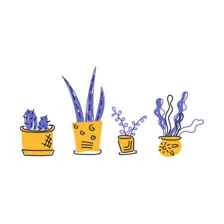 Houseplants flat hand-drawn set. Flower pots. Vector hand drawnのイラスト素材