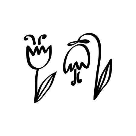 Doodle cute flowers . Vector illustration of a contour isolated on a white background . Design for coloring book, poster, greeting cards, packagingのイラスト素材