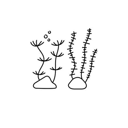 Water plants, seaweed. Hand drawn line icon, vector logo template illustration. Aquarium care . Black on white .のイラスト素材