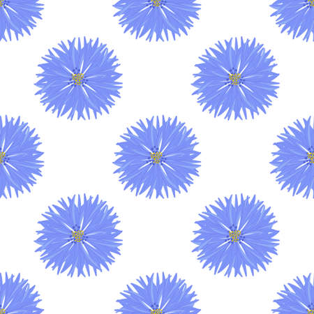 Fluffy blue flowers, seamless pattern on a white background. Vector.のイラスト素材